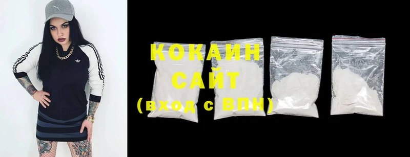 Cocaine FishScale  купить  сайты  Будённовск 